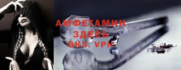 ГАЛЛЮЦИНОГЕННЫЕ ГРИБЫ Абаза