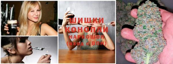 ГАЛЛЮЦИНОГЕННЫЕ ГРИБЫ Абаза