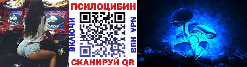 Галлюциногенные грибы Psilocybe Разумное